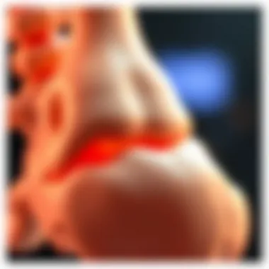 Magnificent A Comprehensive Examination of Osteochondroma: Insights and Implications Magnificent A Comprehensive Examination of Osteochondroma: Insights and Implications