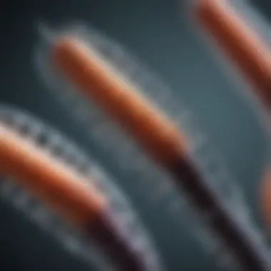 Magnificent Exploring the Complexity of the 18th Chromosome Magnificent Exploring the Complexity of the 18th Chromosome