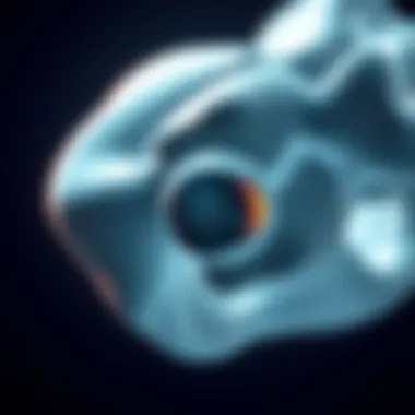 A Comprehensive Examination of Osteochondroma: Insights and Implications Summary A Comprehensive Examination of Osteochondroma: Insights and Implications Summary