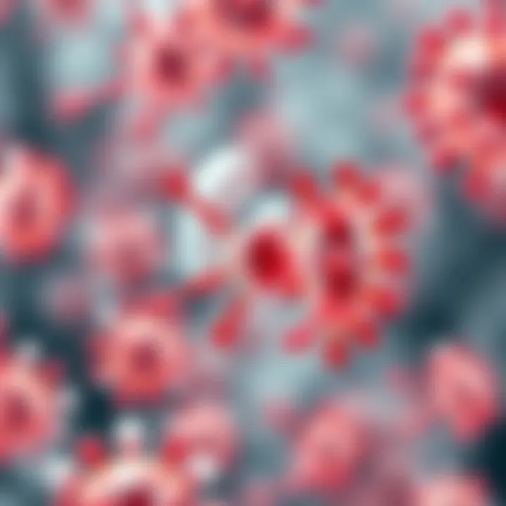 Infographic showcasing antibiotic mechanisms of action