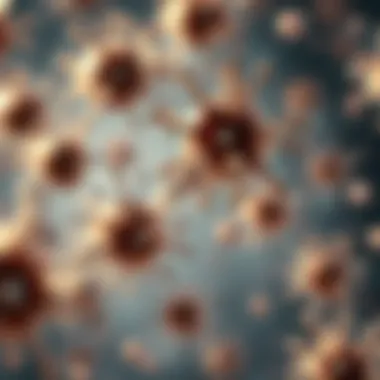 Visual representation of antibiotic resistance trends