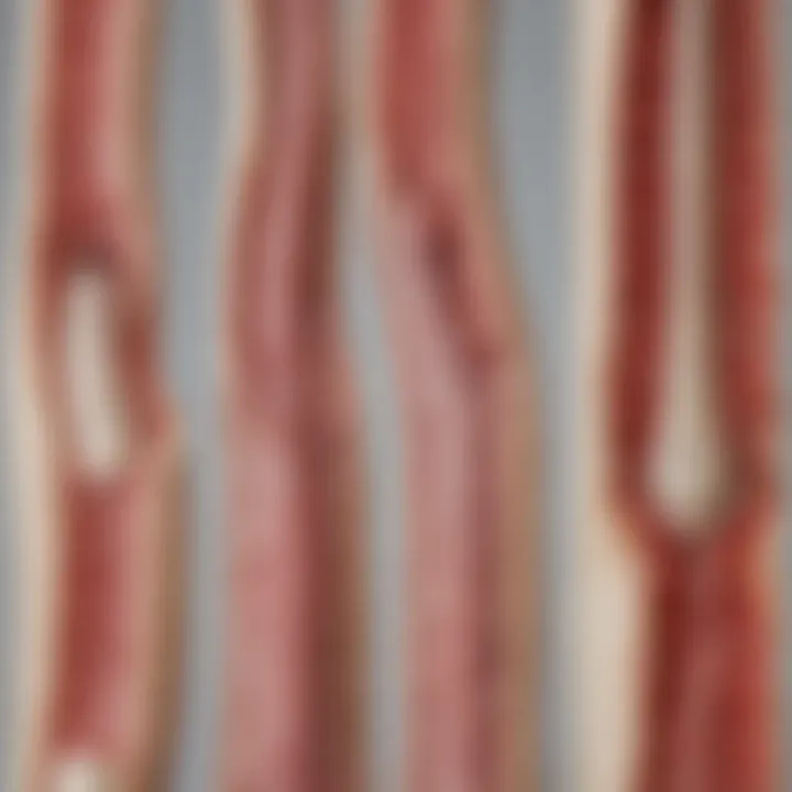 Diagram showing various types of bone marrow abnormalities