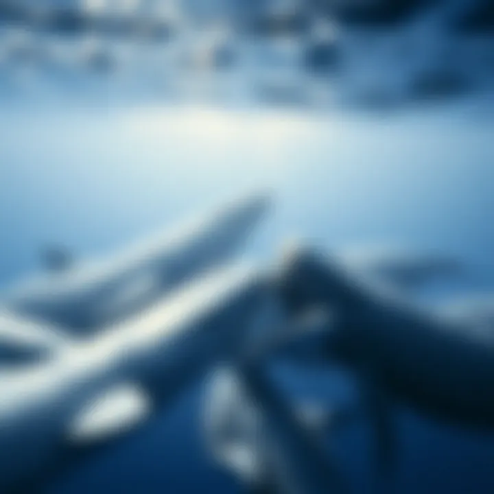 A pod of gray whales interacting, demonstrating their social behavior and communication