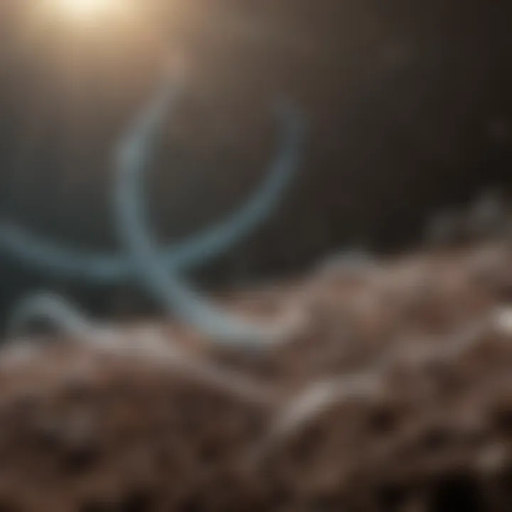 Future trends in biotechnology and genome editing