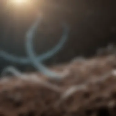 Future Directions: The Next Era of Genome Editing Future trends in biotechnology and genome editing