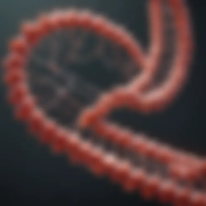 Graph depicting the relationship between amino acids and gene expression