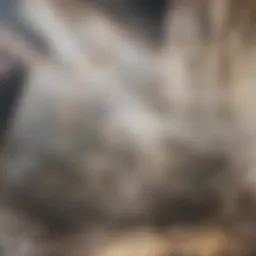 Conceptual representation of ammonia oxidation in the nitrogen cycle