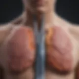 Illustration of lung neuroendocrine tumor characteristics