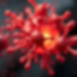 An In-depth Exploration of Proteolytic Acid Introduction