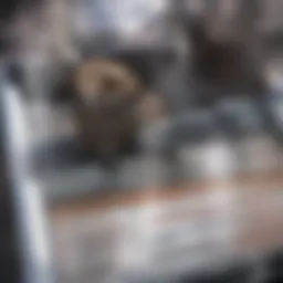 Close-up of mouthwash bottle with ingredients listed