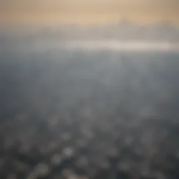 Aerial view of Mexico City showcasing pollution haze