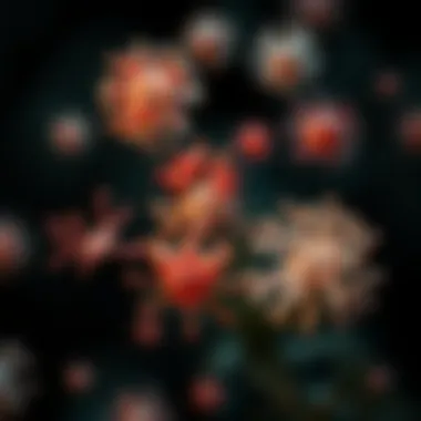 Diverse Types of Autoimmune Diseases Visual representation of various autoimmune diseases