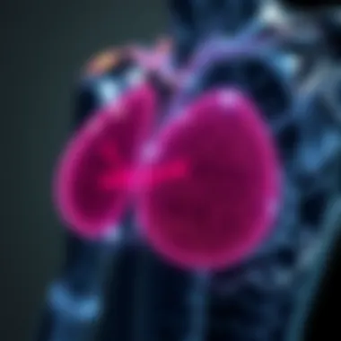 Breast Cancer Model: Insights and Innovations in Research Summary