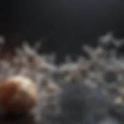 Caffeine molecule structure