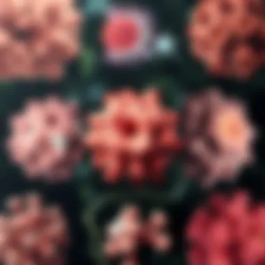 Collage of various cancer types treated with immunotherapy