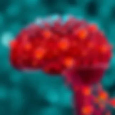 Advancements in Brain Function Understanding Advancements in understanding brain function