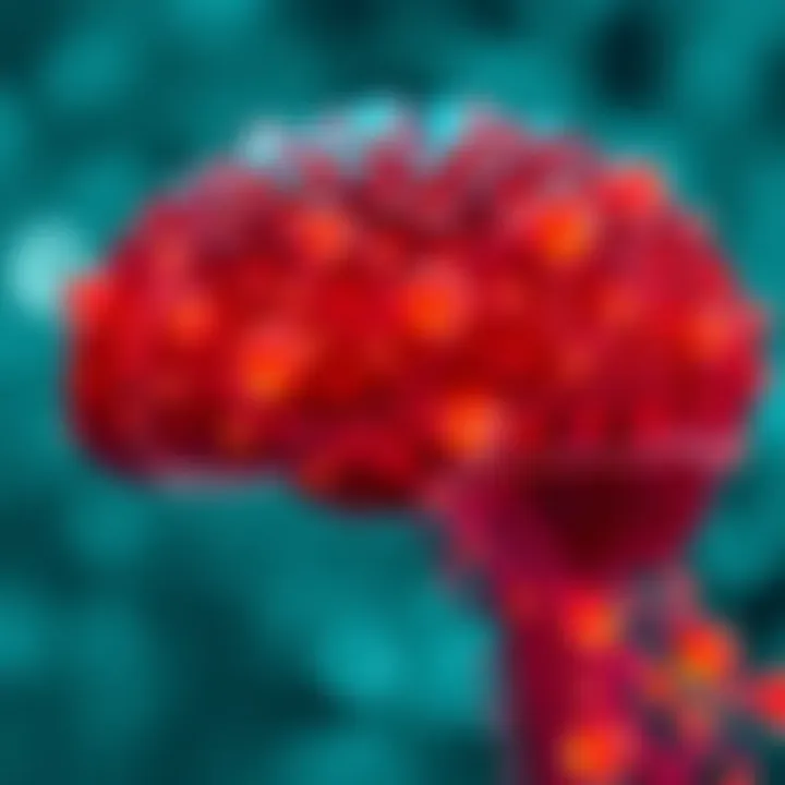 Advancements in Brain Function Understanding Advancements in understanding brain function