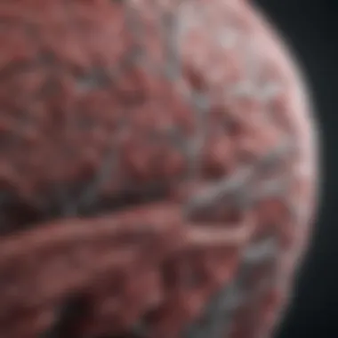Clinical application scenarios of cerebral stents in patient care
