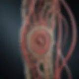 Illustration of various cerebral stent designs