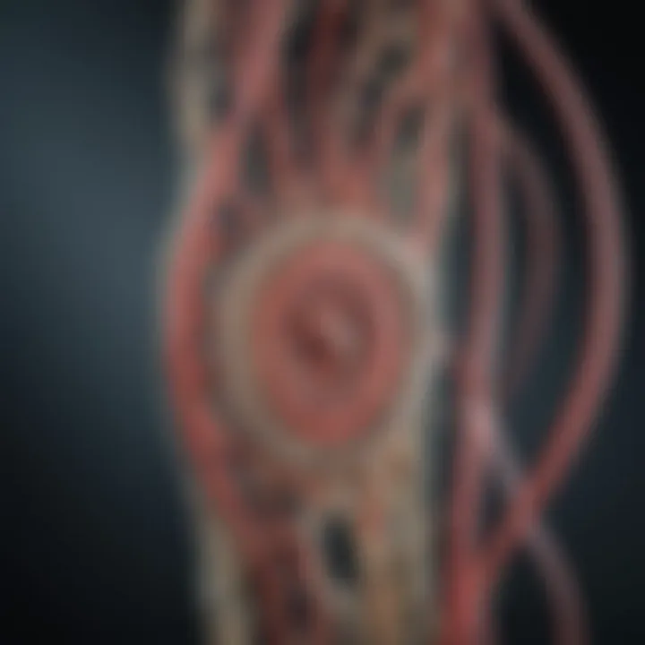 Illustration of various cerebral stent designs