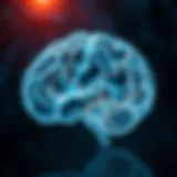 Neural pathways illustrating cognitive function