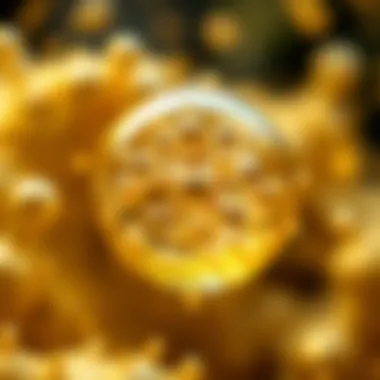 Future perspectives and challenges in colloidal iridium research