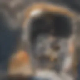 Advanced able bioreactor design showcasing modular components and configuration