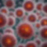 Microscope focusing on cultured cells