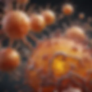 Mechanisms of Action of Fenretinide Illustration depicting the mechanisms of action of fenretinide at the cellular level