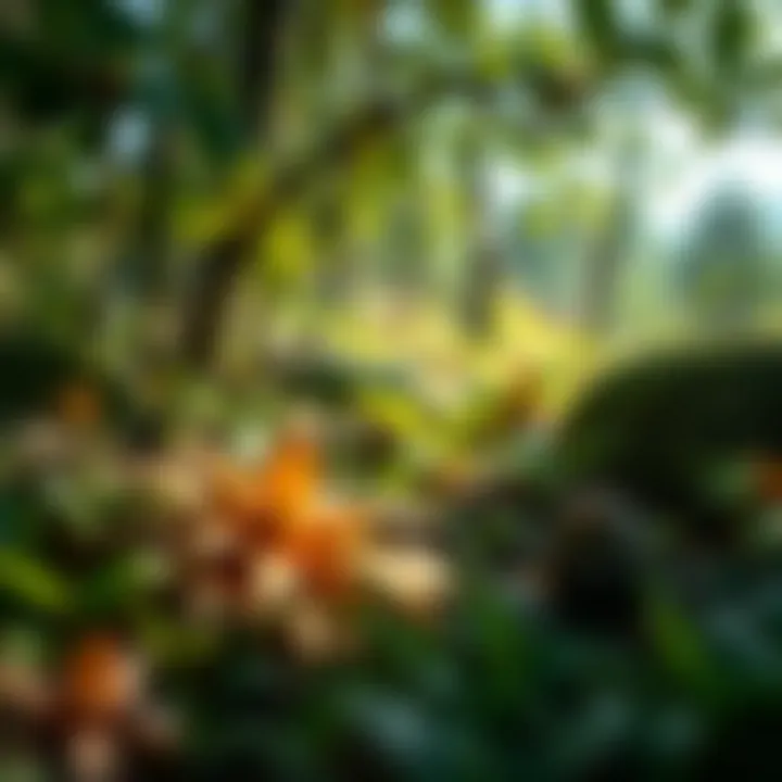 Diverse Ecosystem on Private Property A close-up view of a diverse ecosystem thriving in a private area.