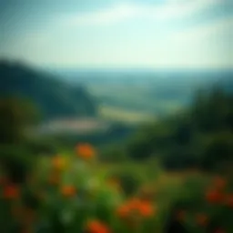 A lush, vibrant landscape representing private land conservation efforts.