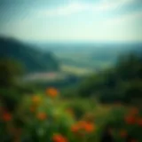 Vibrant Landscape of Private Land Conservation A lush, vibrant landscape representing private land conservation efforts.