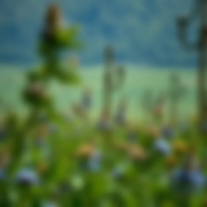 Sustainable Practices in Land Management Innovative practices in sustainable land management on private lands.