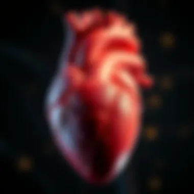 Illustration of the heart's anatomy affected by CHD