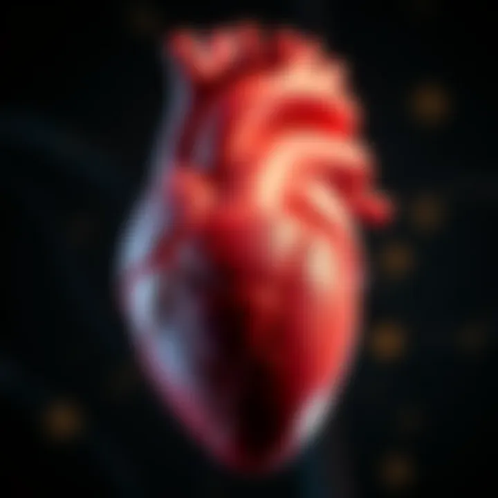 Illustration of the heart's anatomy affected by CHD
