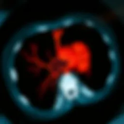 High-resolution CT scan displaying prostate anatomy