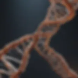 Illustration of primer binding to DNA template