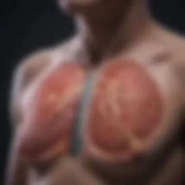 Imaging Techniques in Lung Cancer Detection Medical imaging techniques for lung cancer diagnosis