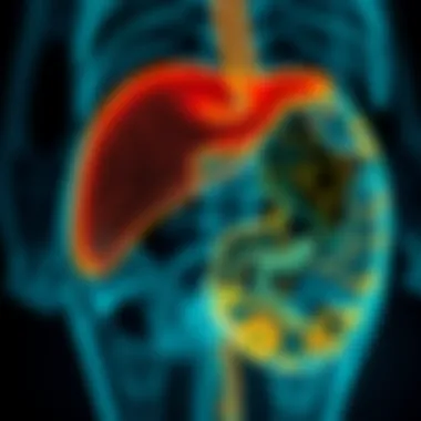 Diagnostic Approaches for IHBDC Visual representation of diagnostic methods for detecting IHBDC