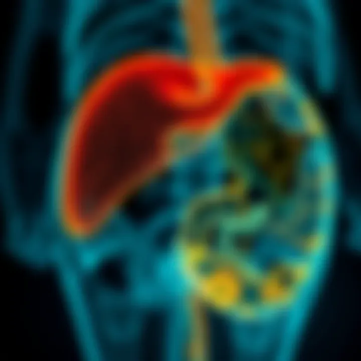 Diagnostic Approaches for IHBDC Visual representation of diagnostic methods for detecting IHBDC