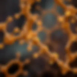 Chemical structure of dihydroxybenzoic acid showcasing its functional groups