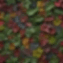A diverse collection of plant species showcasing various leaf shapes and colors