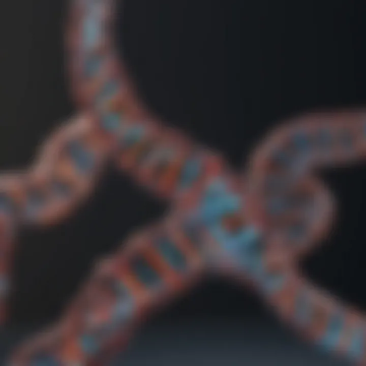 Comparison of various DNA labeling methods