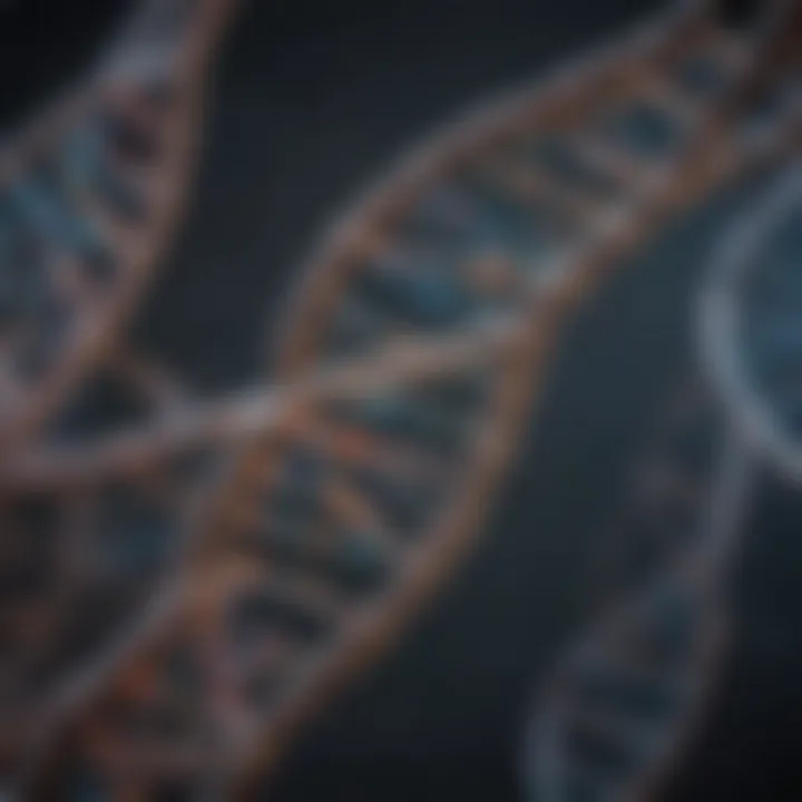 Visualization of DNA strands with labels