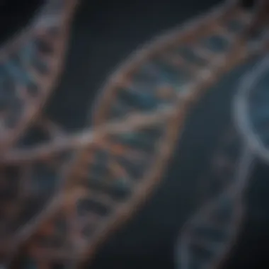 Visualization of DNA Strands Visualization of DNA strands with labels