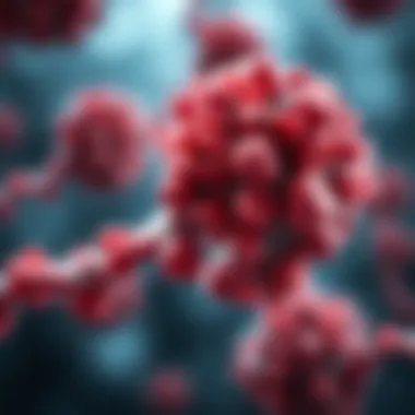 Impact of genetic variations on EGFR and HER2