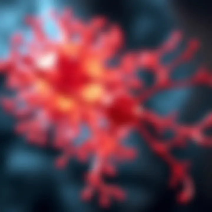 Signaling pathways involving EGFR and HER2