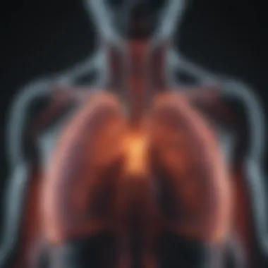 Emerging Technologies in MRI for Pulmonary Diagnostics Visualization of emerging MRI technologies in pulmonary diagnostics