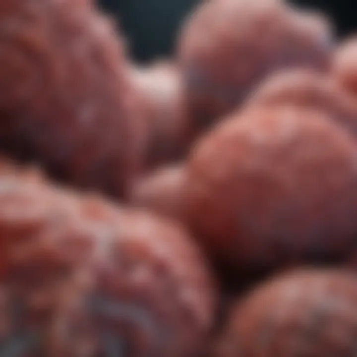 Pathological examples involving epithelioid cells