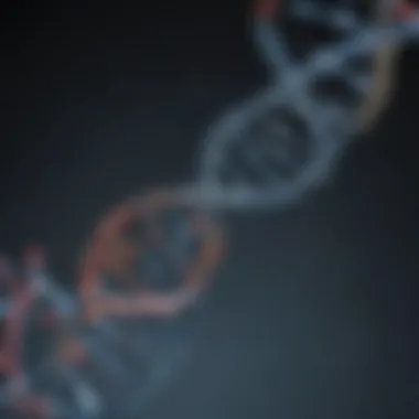 Molecular structure representing DNA analysis